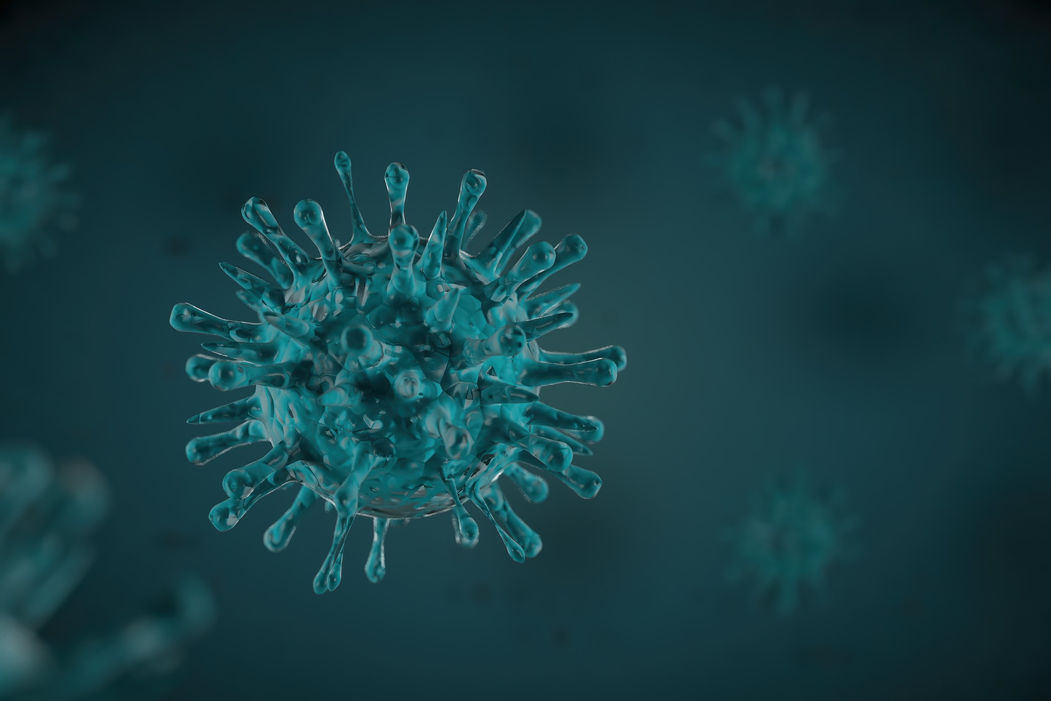 Influenza Virus